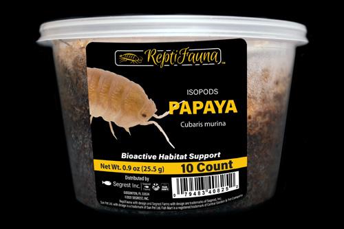 picture of ReptiFauna™ Papaya Isopod 10 Count                                                                   Cubaris murina