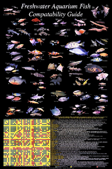 picture of Freshwater Compatibility Poster                                                                      