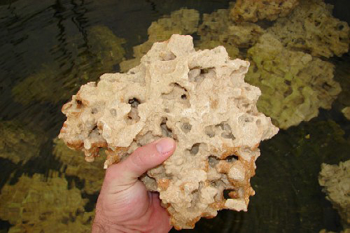 picture of Mr. Bones Dry Base Rock Per lb                                                                       