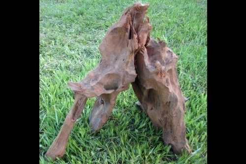 picture of Driftwood Premium Per Piece                                                                          Unknown