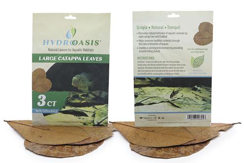 picture of HydrOasis™ Catappa Leaves Large 3 Ct                                                                 Terminalia catappa