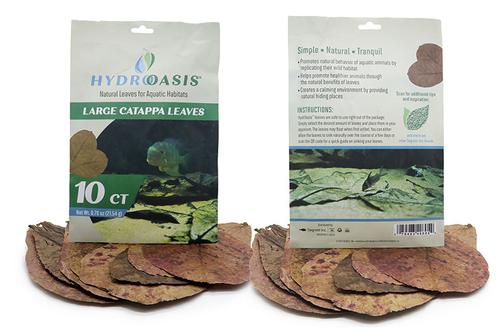 picture of HydrOasis™ Catappa Leaves Large 10 Ct                                                                Terminalia catappa