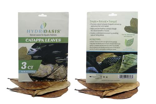 picture of HydrOasis™ Catappa Leaves 3 Ct                                                                       Terminalia catappa